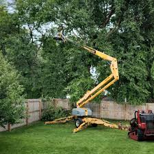 Best Tree Mulching  in Sinking Spring, PA